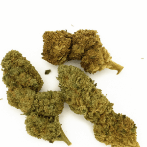 Pack Fleurs de CBD - Local & Bio