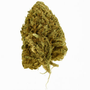 Lemoncello - CBD- Loca & Bio