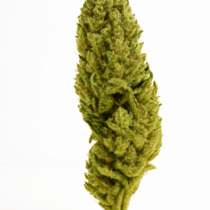 Super Lemon Haze - CBD - Local & Bio