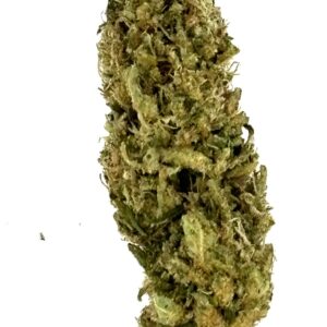 Lemon Haze - CBD - Local & Bio