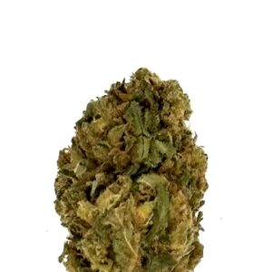 AK-47 - CBD - Local & Bio