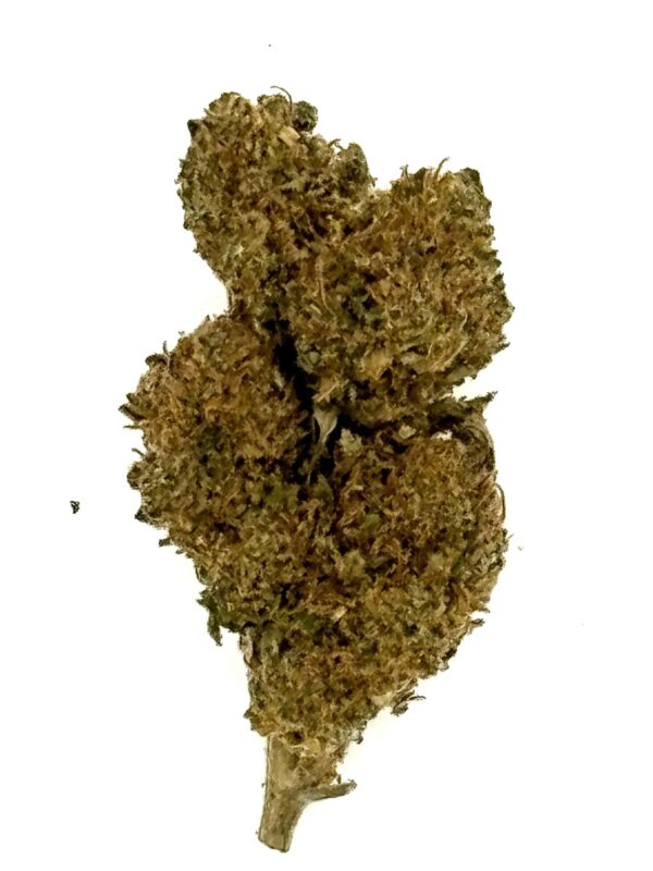 Blue Dream - CBD - Local & Bio