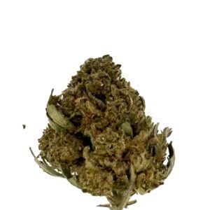 Bubba Kush - CBD - Local & Bio