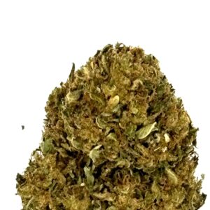 Harlequin - CBD - Local & Bio