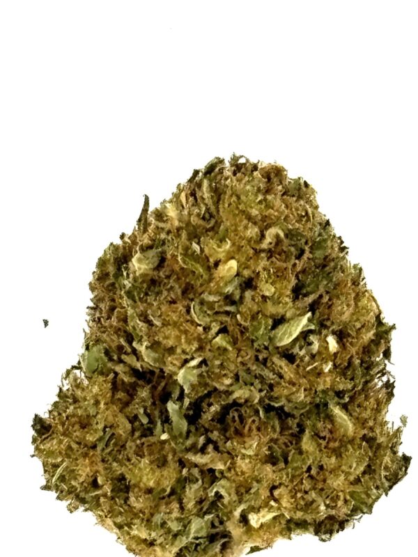 Harlequin - CBD - Local & Bio
