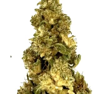 Wedding Cake - Local & Bio