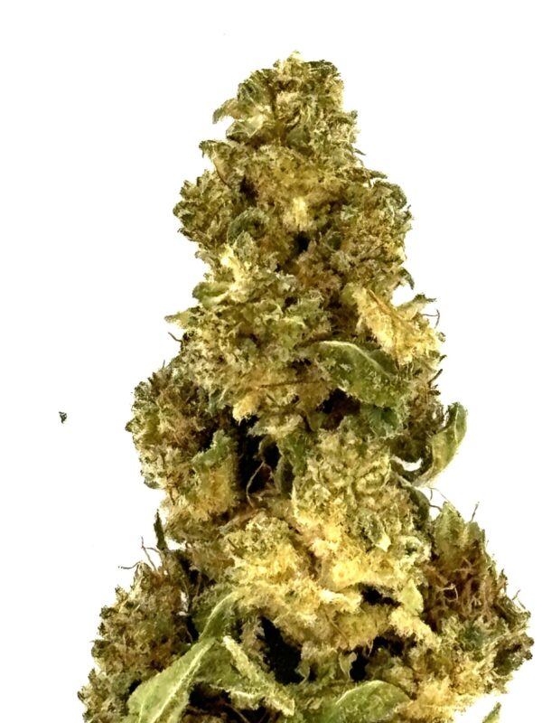 Wedding Cake - CBD - Local & Bio