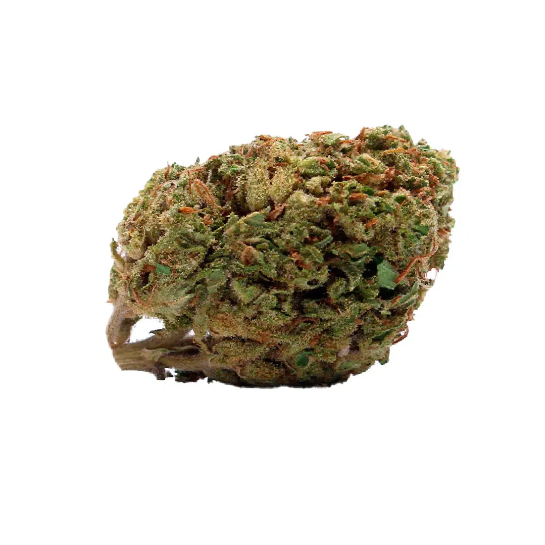 Harlequin - CBD - Local & Bio