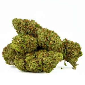 Sweet Passion CBDV - Fleurs Premium - Glass Housse